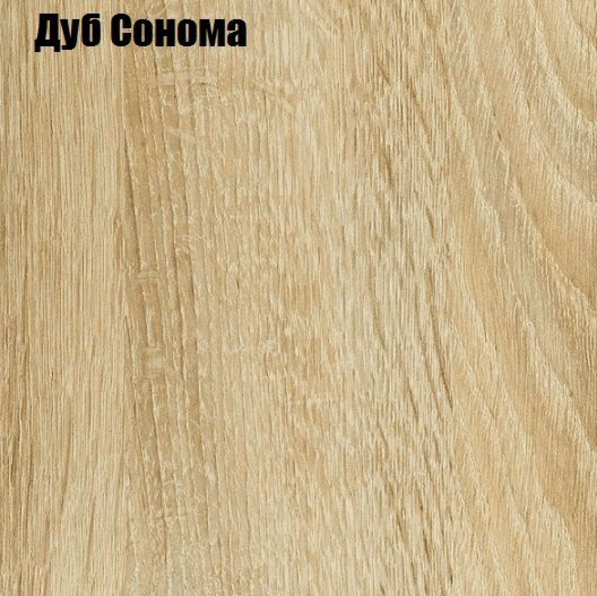 НЭНСИ NEW Тумба ТВ (2дв.+1ящ.) МДФ | фото 4