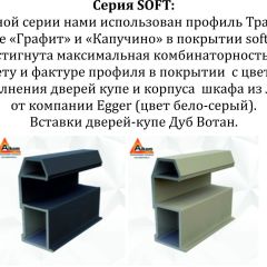 Шкаф-купе 1800 серии SOFT D8+D2+B2+PL4 (2 ящика+F обр.штанга) профиль «Графит» | фото 12