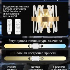 Накладной светильник Natali Kovaltseva TIZIANO LED LAMPS 81113/1W | фото 6